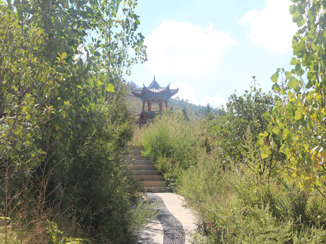 麗江開放學院