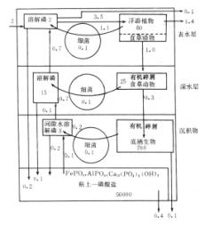 環境化學效應