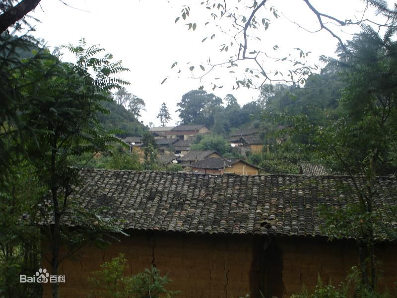 過山洞村(雲南宣威市務德鎮下轄村)