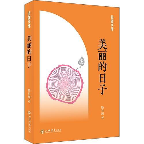 美麗的日子(滕肖瀾所著小說)