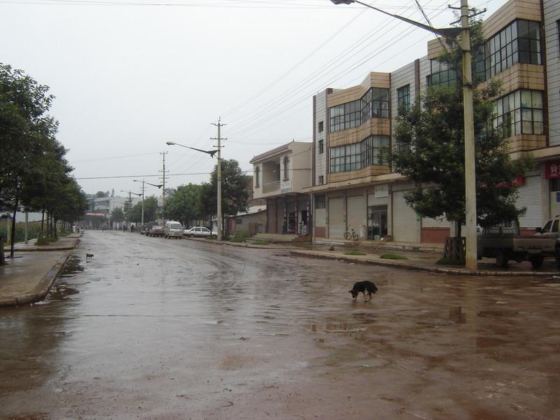 彎腰樹村(雲南省昆明市富民縣永定鎮彎腰樹村)