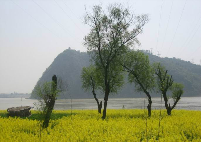 散花洲