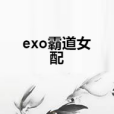 exo霸道女配