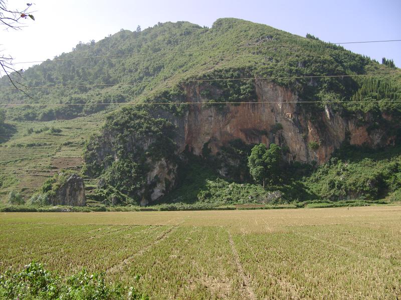 塘麻村