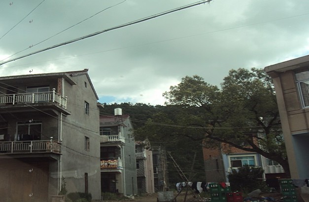 前店村(山東省煙臺市海陽二十里店鎮下轄村)