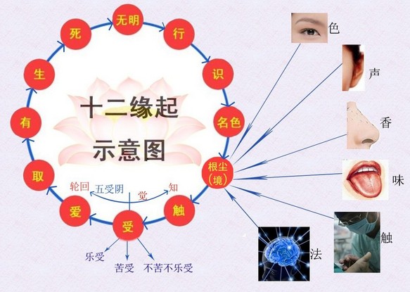 十二緣起