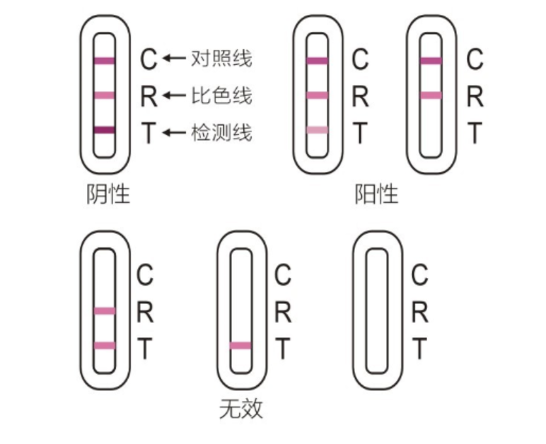 詳細結果顯示測試卡