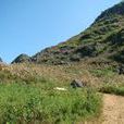 三家寨村(雲南省文山州硯山縣阿猛鎮三家寨村)