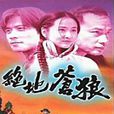 絕地蒼狼(1998年唐文龍主演電視劇)