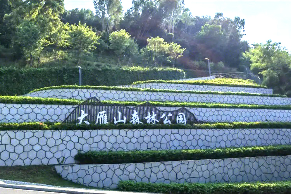 大雁山森林公園