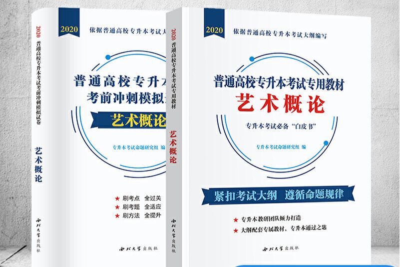 普通高校專升本考試藝術概論2020教材+試卷全國通用