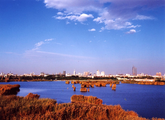 寶湖國家城市濕地公園