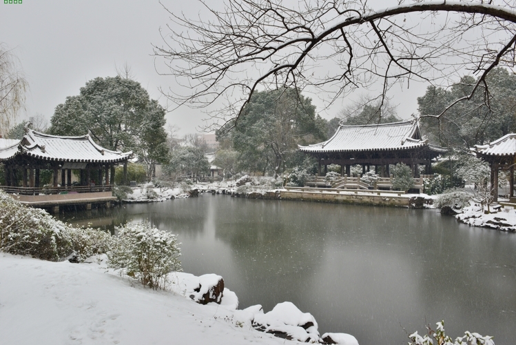 沈園晴雪