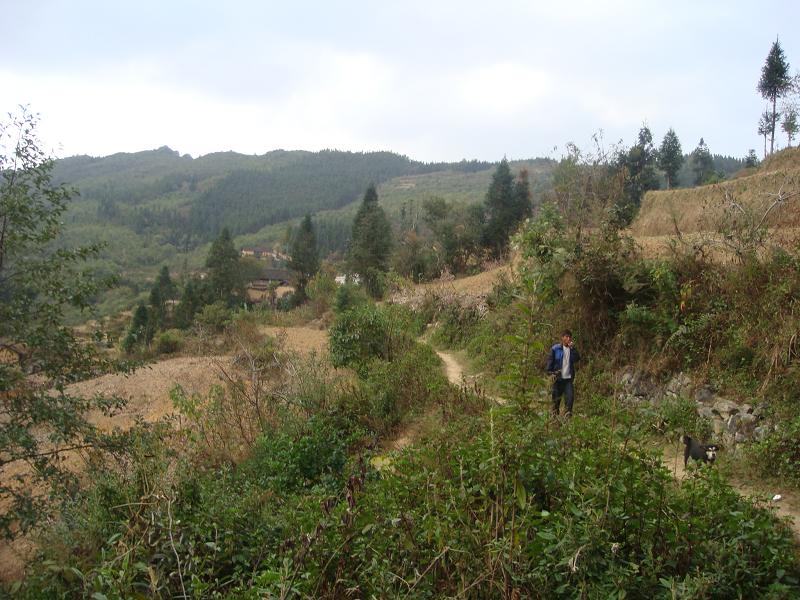 小腳背自然村進村道路