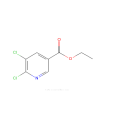 5,6-二氯煙酸乙酯