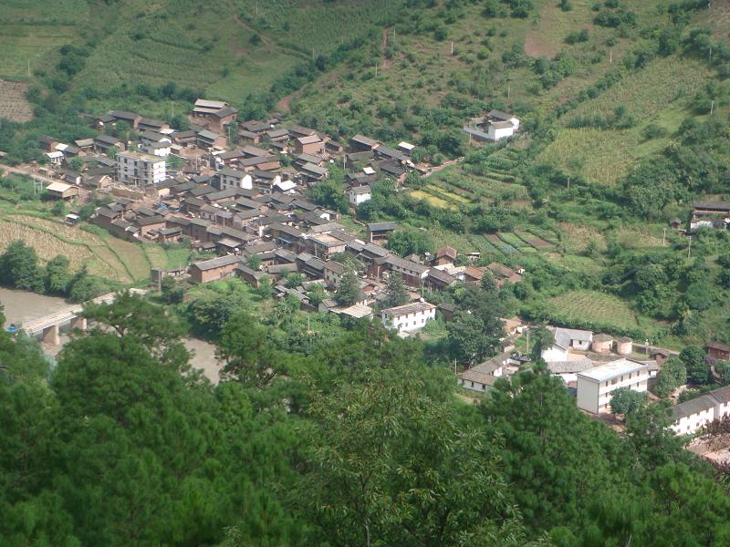 南新村(雲南雲龍縣寶豐鄉下轄村)