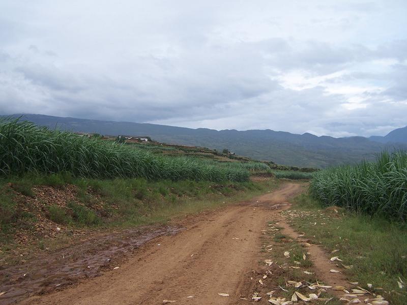 羅依村-進村道路