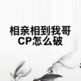 相親相到我哥CP怎么破