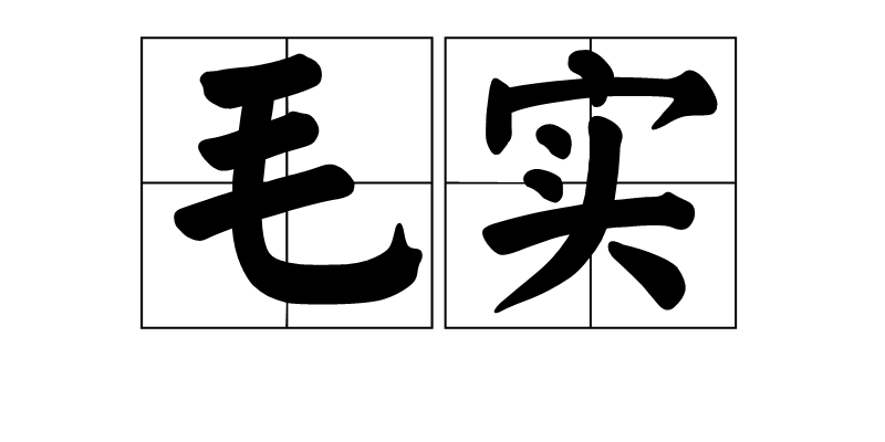 毛實(詞語解釋)