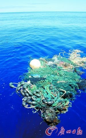 “垃圾島”中的部分漂浮物