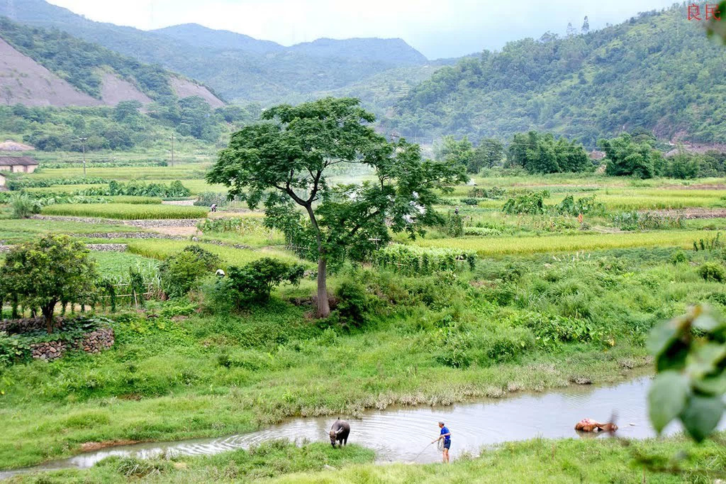 北斗鎮石角壩一景