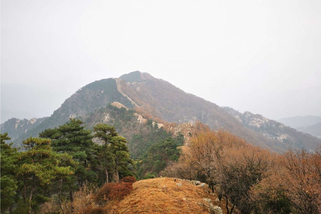 孤頂子山