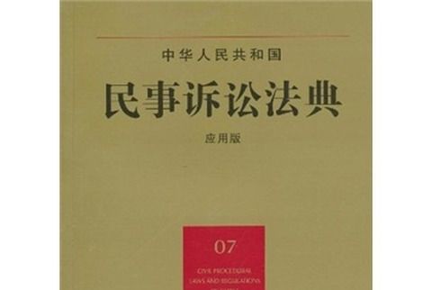 中華人民共和國民事訴訟法典(07)（套用版）