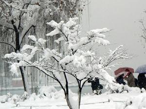 暴雪黃色預警信號