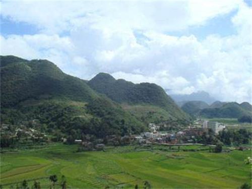 大新寨村(雲南省紅河紅河縣樂育鄉下轄村)