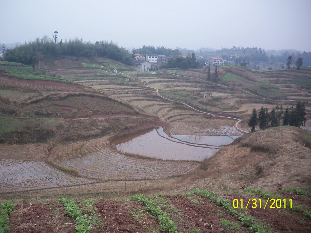 建福村(雲南省元陽縣黃茅嶺鄉下轄村)