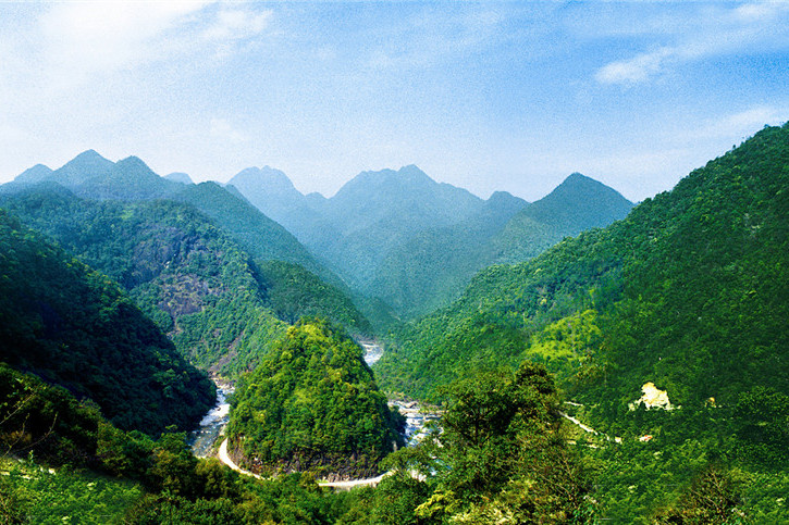 福建武夷山國家森林公園