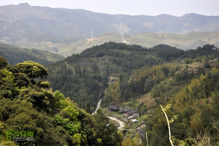 東山林村