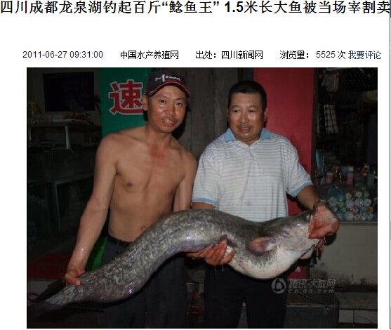 成都龍泉湖大鯰魚