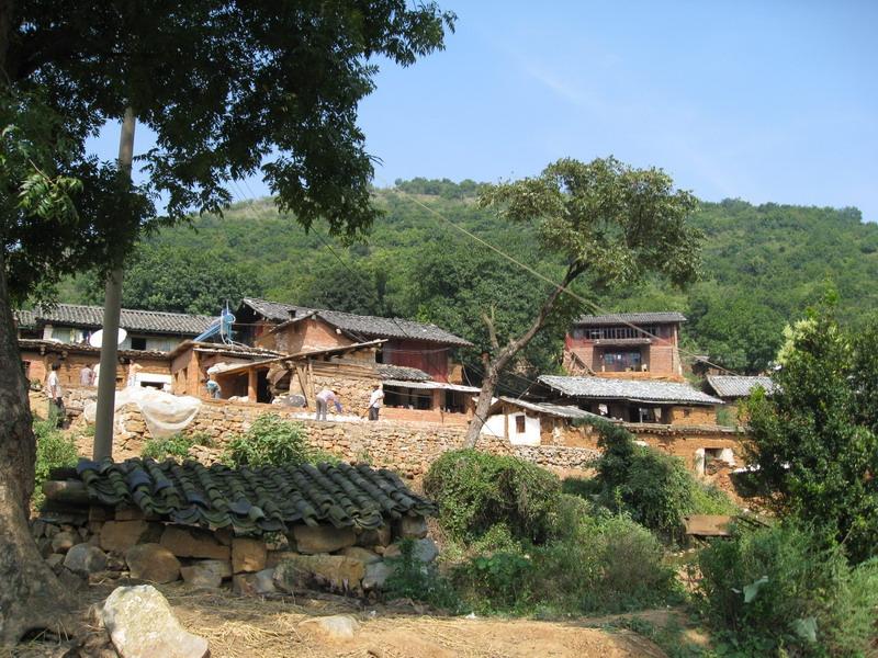 萬年青村(雲南建水縣盤江鄉下轄村)