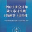 《中國註冊會計師獨立審計準則》問題解答