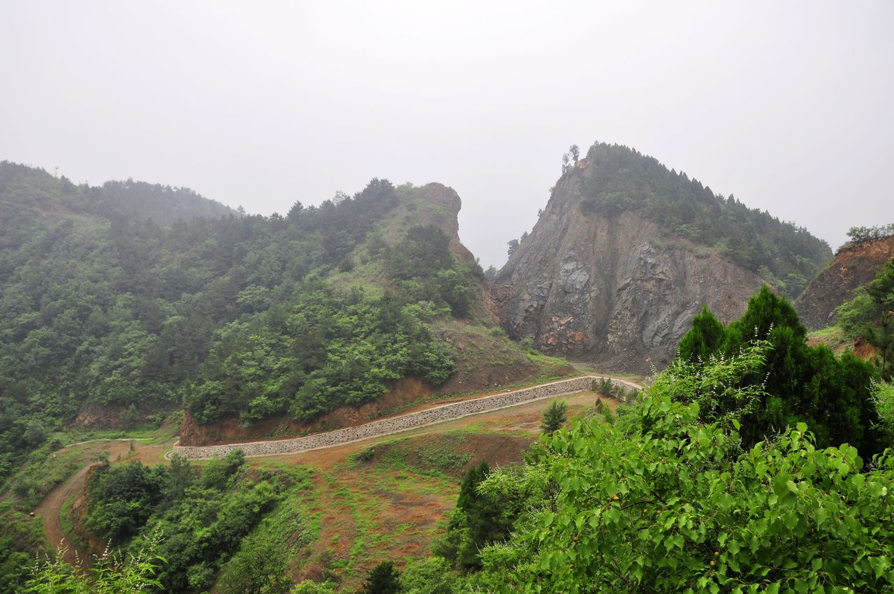 西灣子村(山東省微山縣魯橋鎮下轄村)