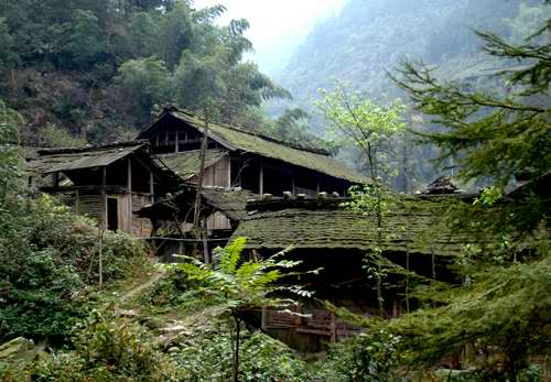 大熊山國有林場