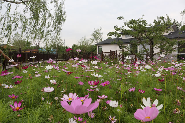 小穿芳峪鄉野公園