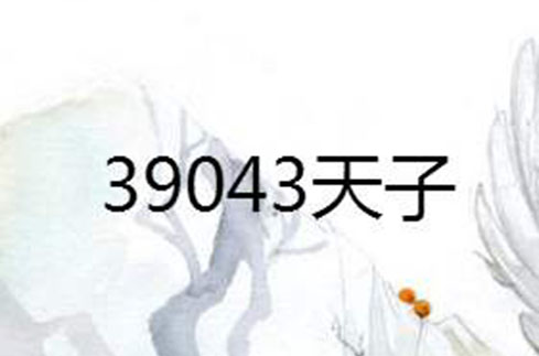 39043天子