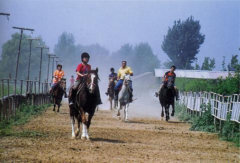 王務跑馬場