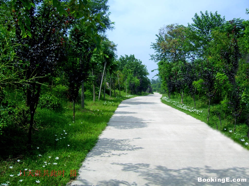 嶂山森林公園(宿遷嶂山森林公園)