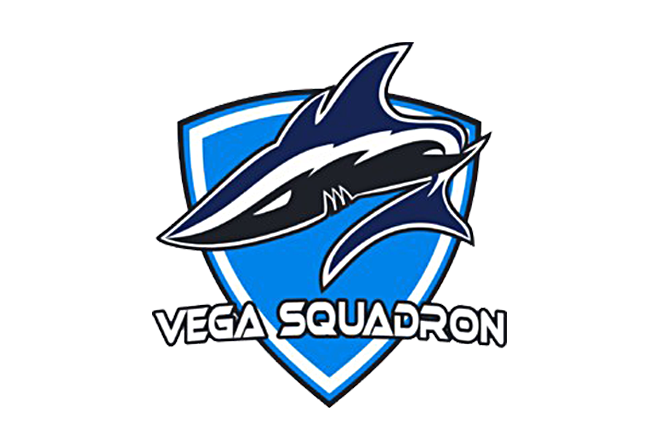 Vega Squadron