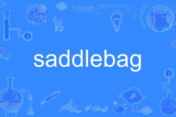 saddlebag