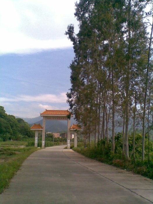 中心垌村