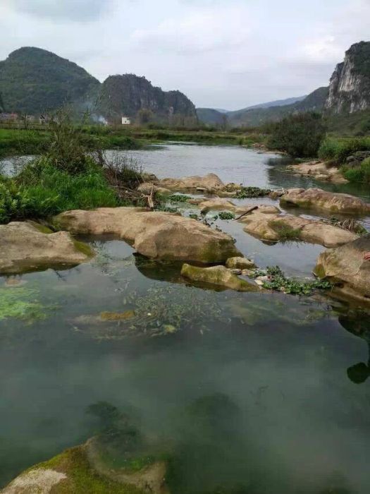 牛臘村