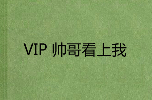 VIP 帥哥看上我