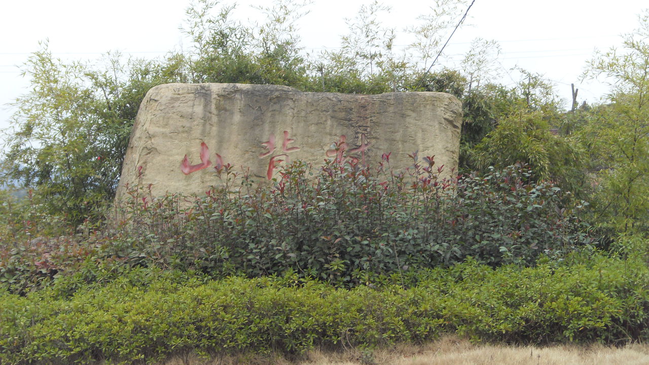 山背村(廣東省湛江市廉江市河唇鎮山背村)