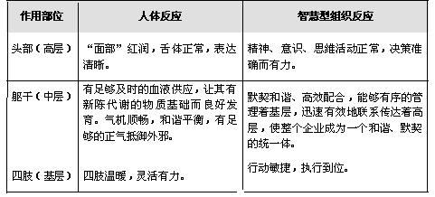 C管理模式