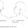 痙攣性斜頸的定向手術