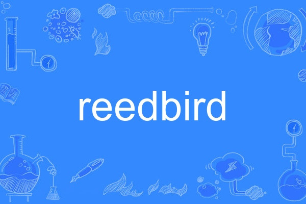 reedbird